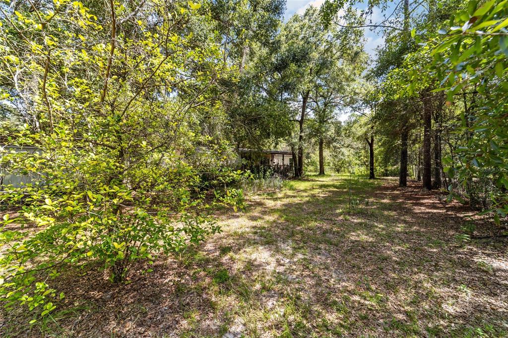 10630 Northwest 10th Street Road Ocala, FL 34482 - Photo 24 of 29 a backyard of a house with lots of green space