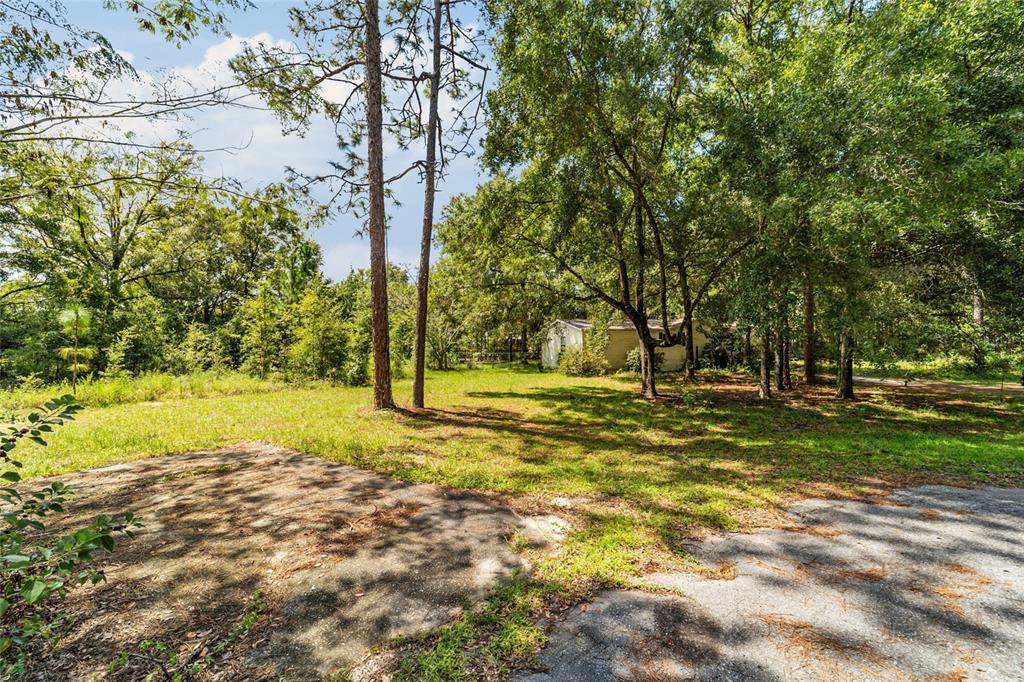 10630 Northwest 10th Street Road Ocala, FL 34482 - Photo 29 of 29 a view of yard with trees