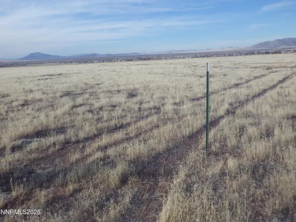a view of a dry yard next to a road
