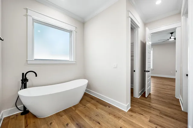 a view of a big yard with large trees and plants