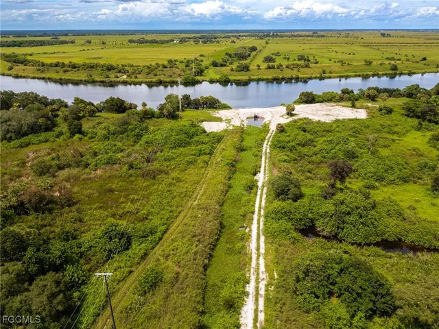 a view of a garden with an ocean beach