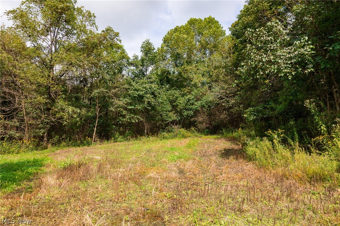 37500 Goose Run Road Dexter City, OH 45727 - Photo 10 of 50 Gallery Image 10