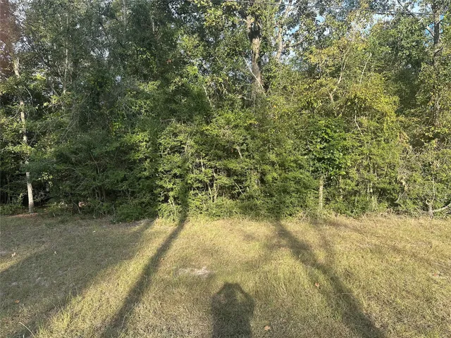 a view of a yard with trees in the background