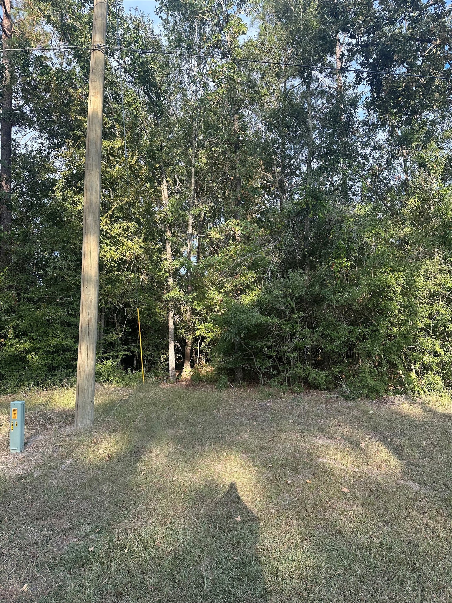 0 Magnolia Lane Onalaska, TX 77360 - Photo 5 of 8 a view of a forest