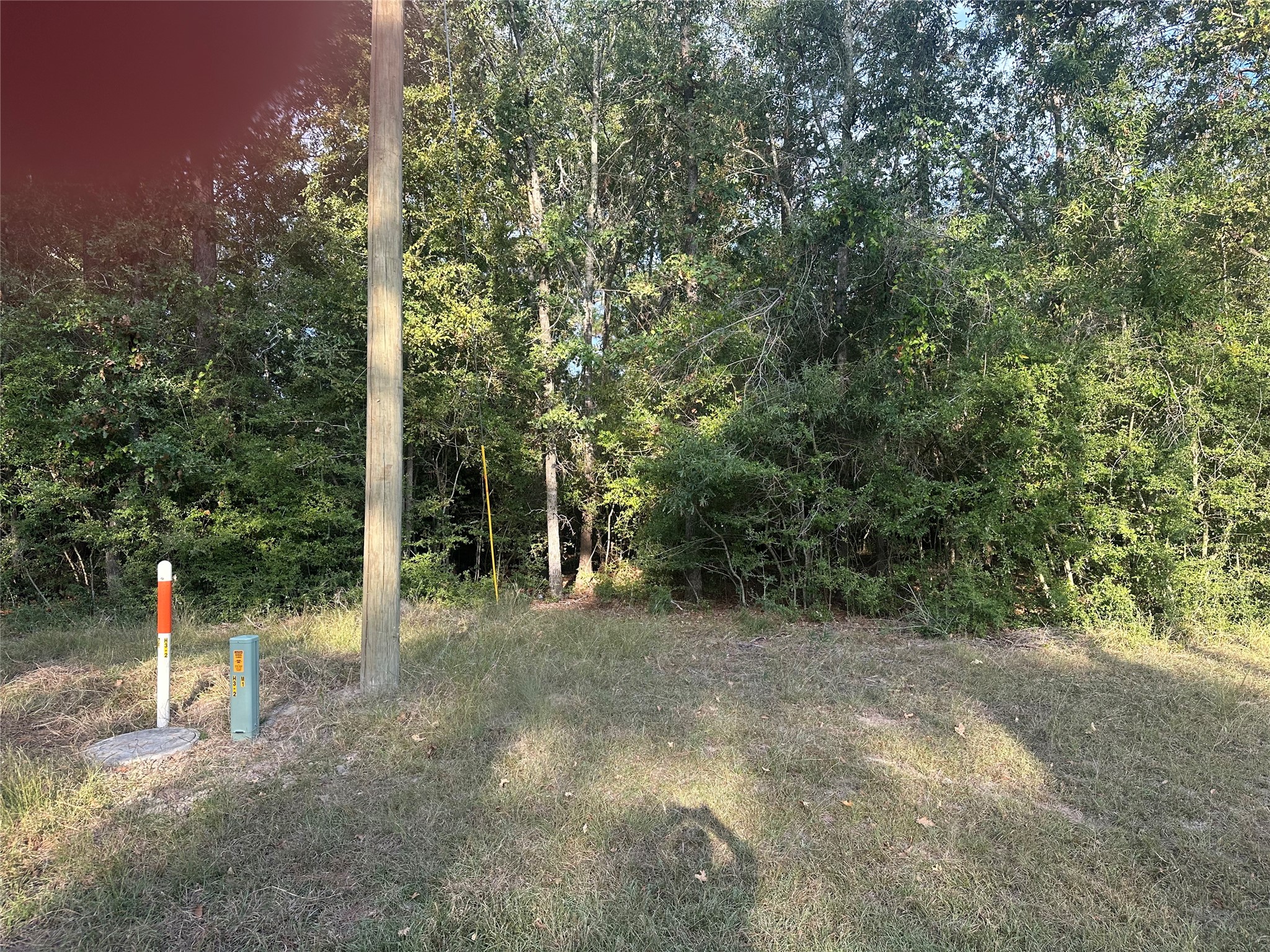 0 Magnolia Lane Onalaska, TX 77360 - Photo 6 of 8