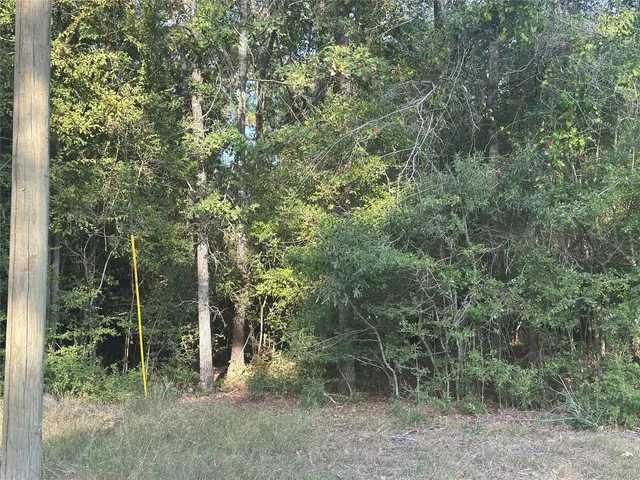 a view of a field with a tree
