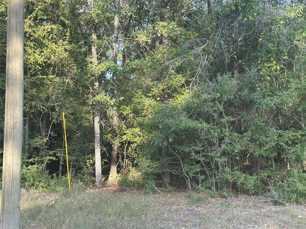 0 Magnolia Lane Onalaska, TX 77360 - Photo 7 of 8 a view of forest