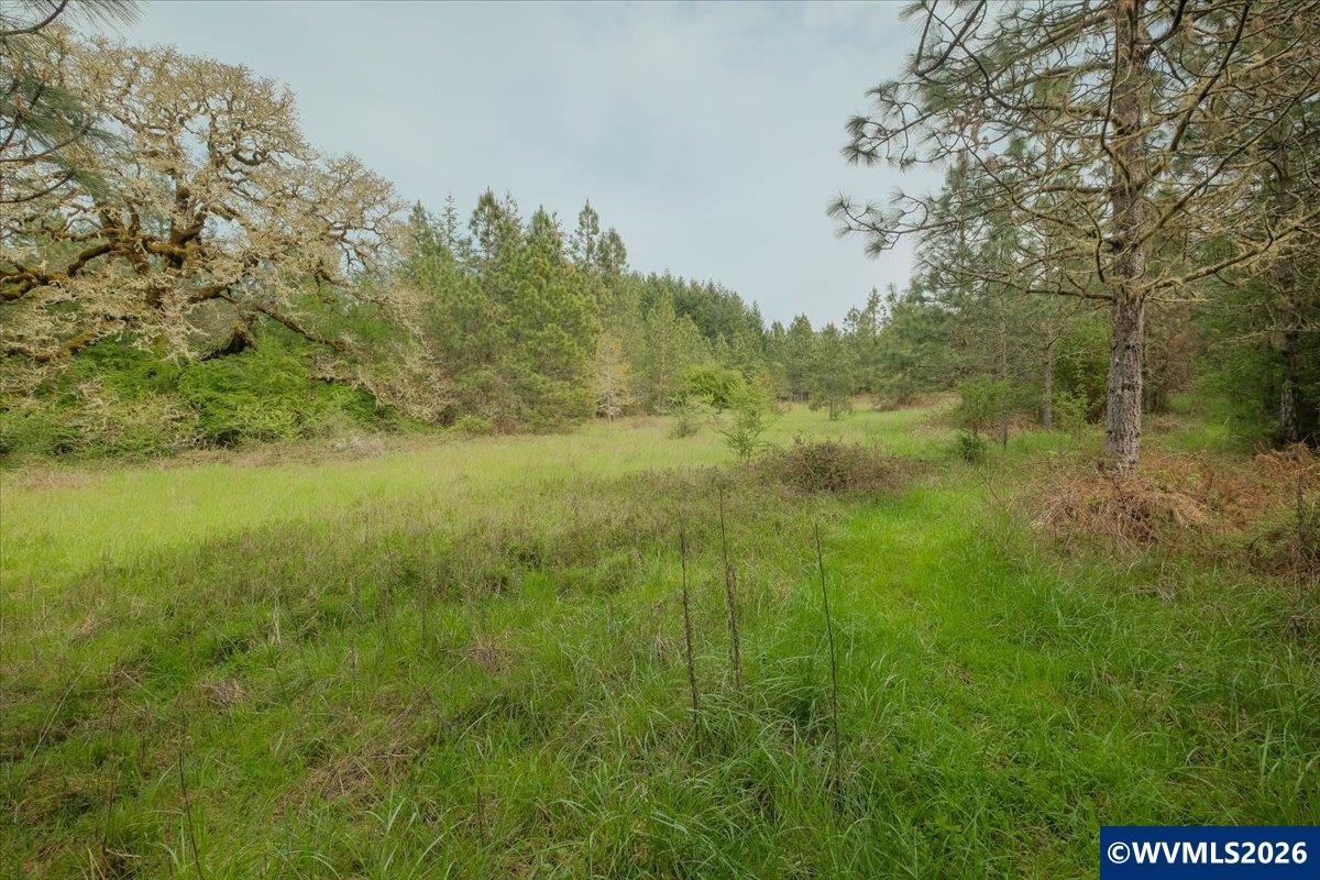 26825 Old Holley Road Sweet Home, OR 97386 - Photo 41 of 48