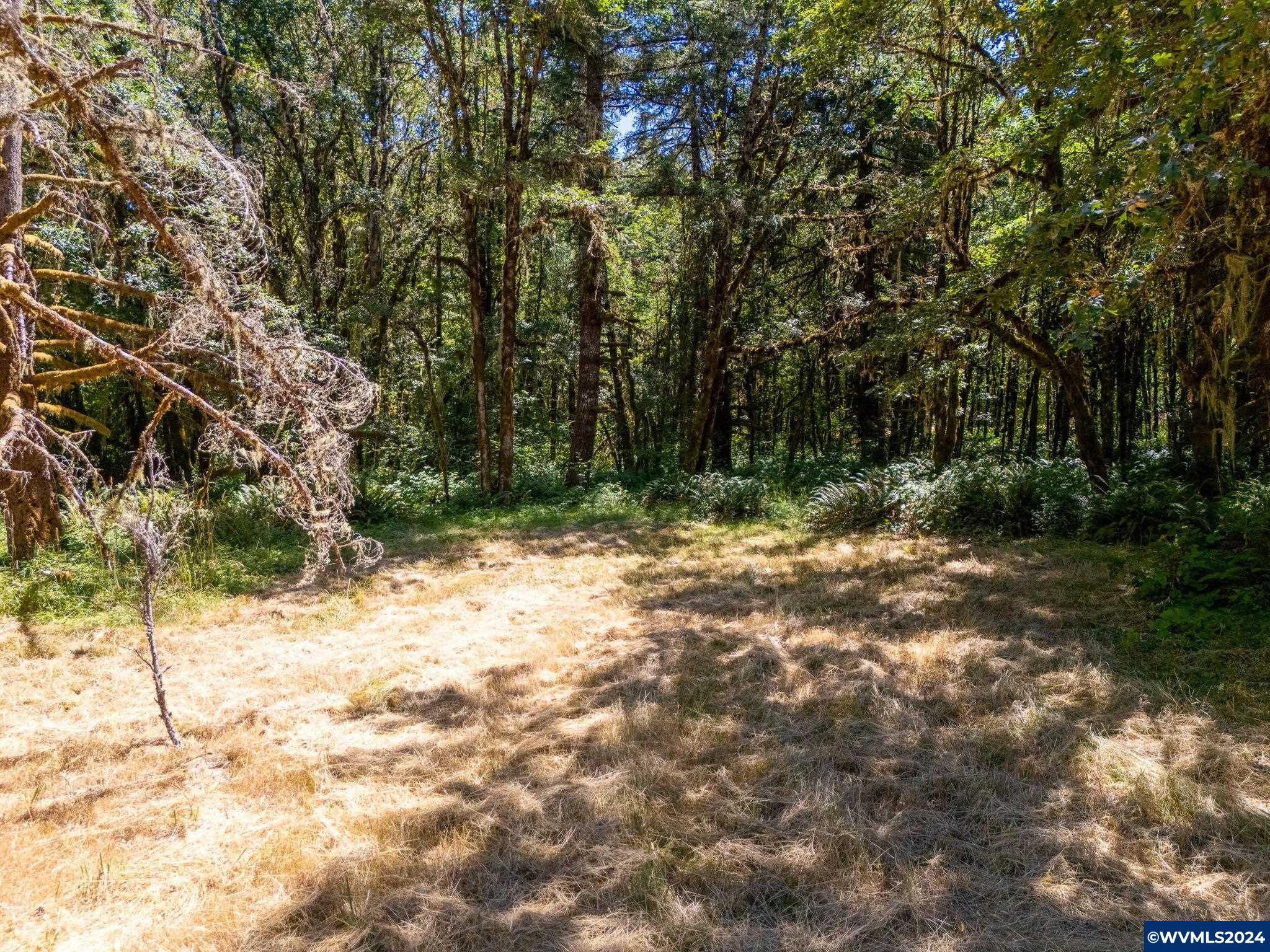 26622 Fudge Road Alsea, OR 97324 - Photo 30 of 34