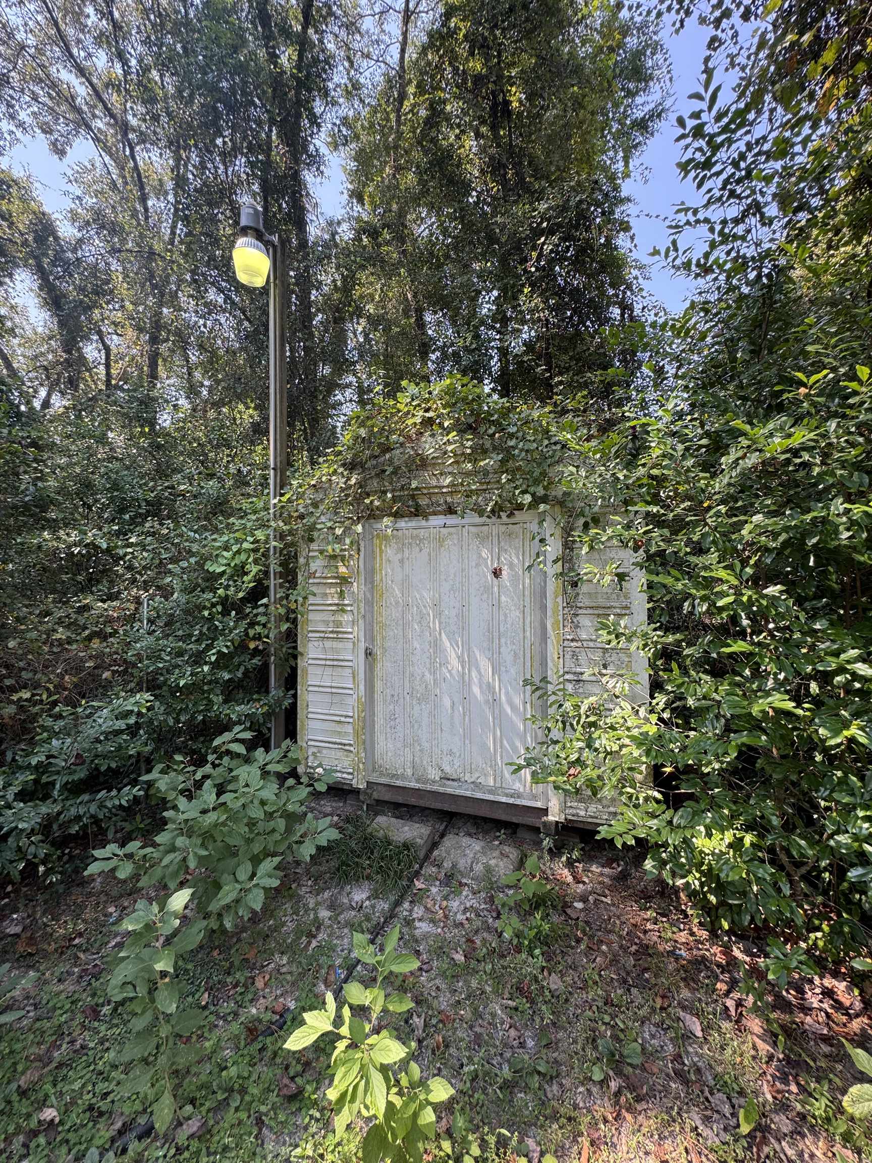 10074 Blue Waters Road Tallahassee, FL 32305 - Photo 9 of 17