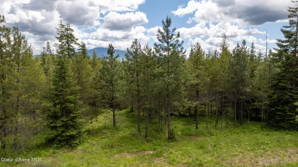 $650,000 | 8917 East Riley Loop, Athol, ID 83801