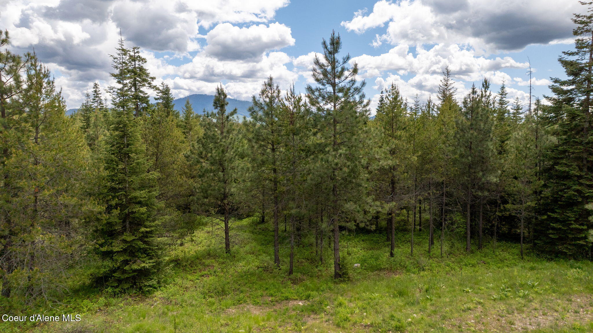 8917 East Riley Loop Athol, ID 83801 - Photo 32 of 32 32-web-or-mls-DJI_0964