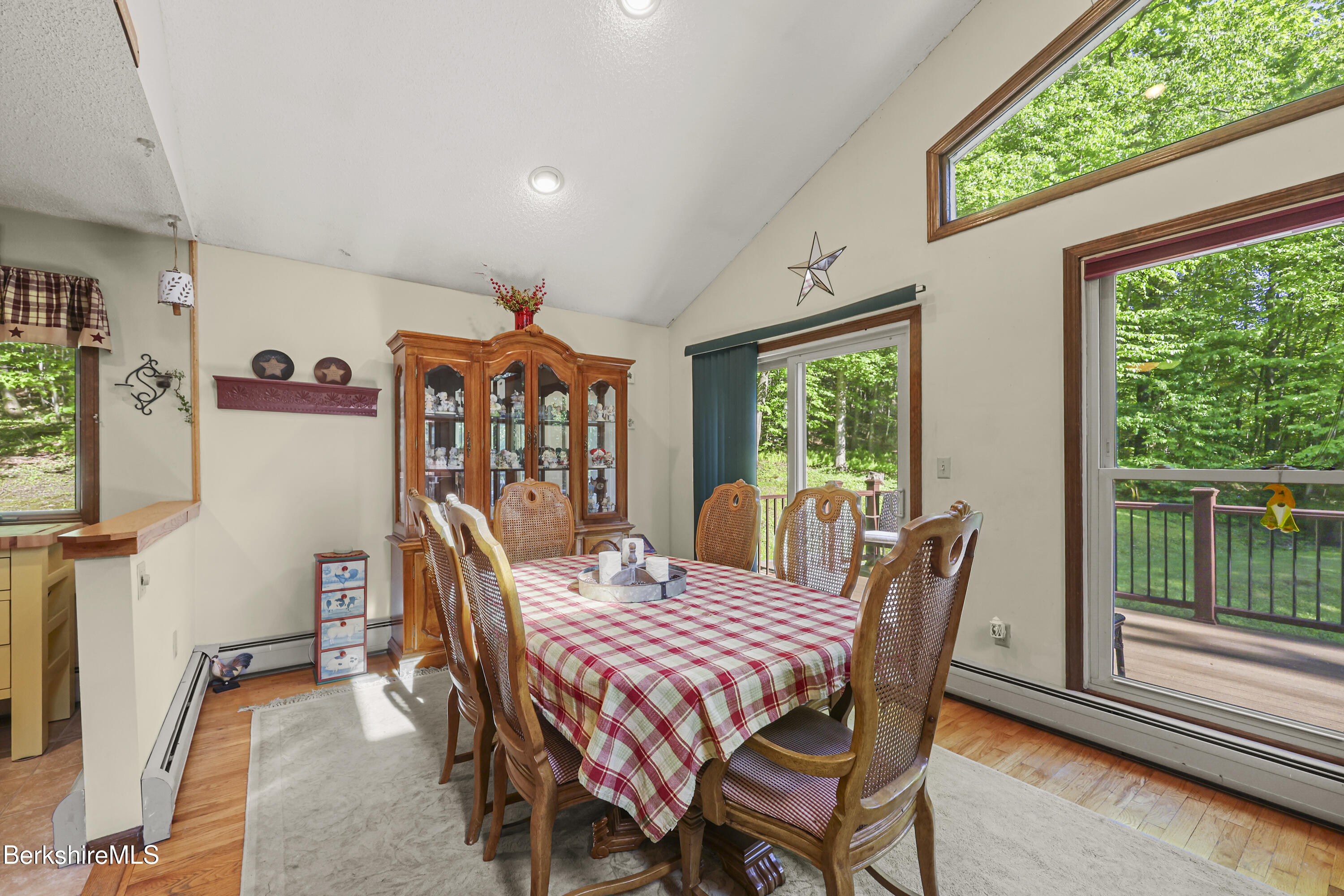 156 Bailey Road Lanesborough, MA 01237 - Photo 11 of 49 Dinng area open deck