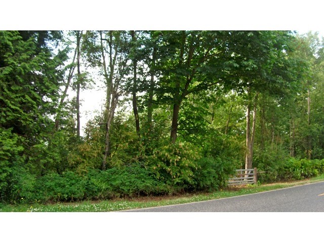 -xxx Curtis Road Bellingham, WA 98225 - Photo 2 of 4