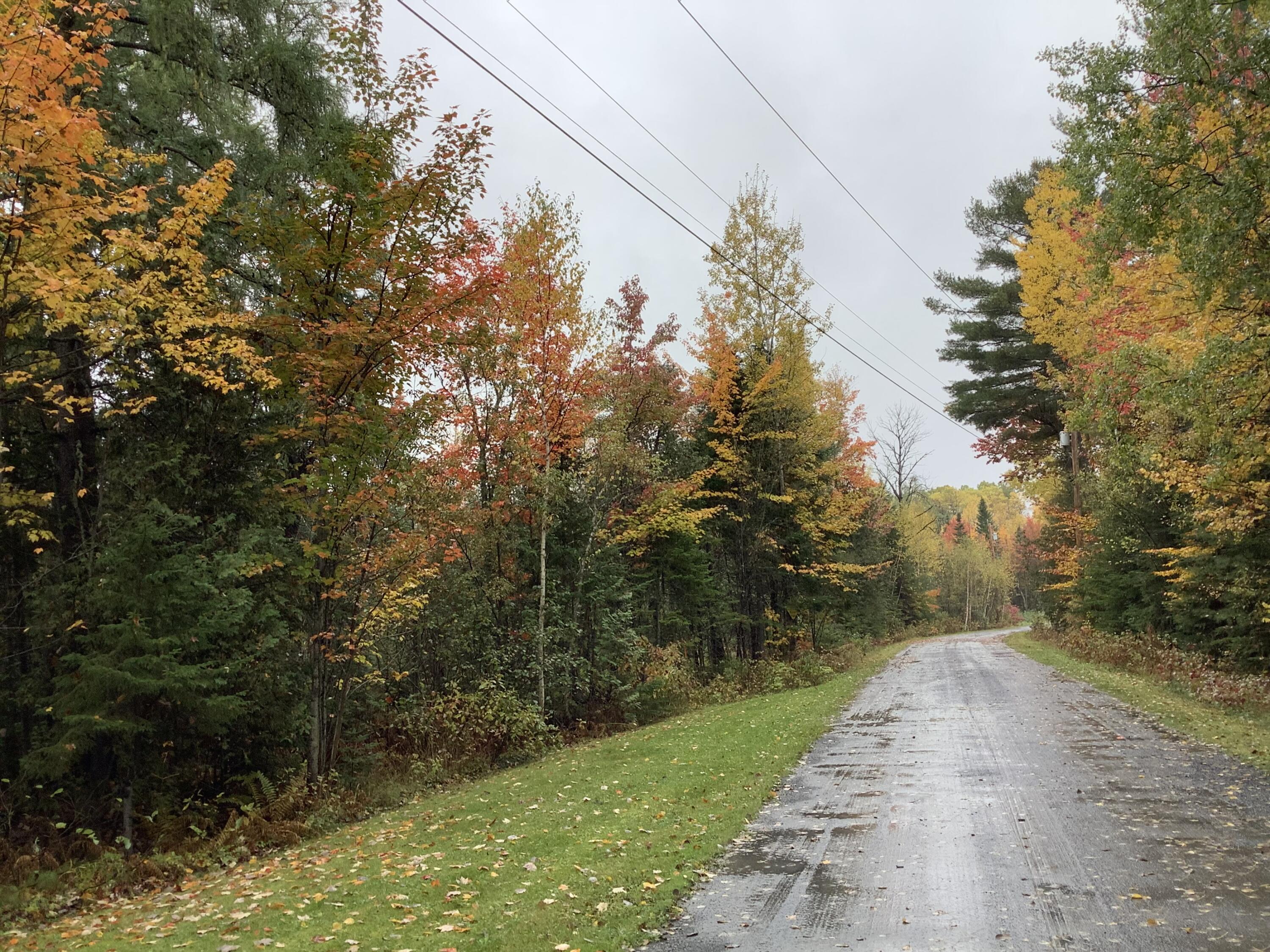 0 Martin Road Sinclair, ME 04779 - Photo 6 of 7 IMG_9553