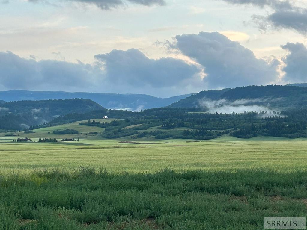 7243 Ards Road Tetonia, ID 83452 - Photo 9 of 11