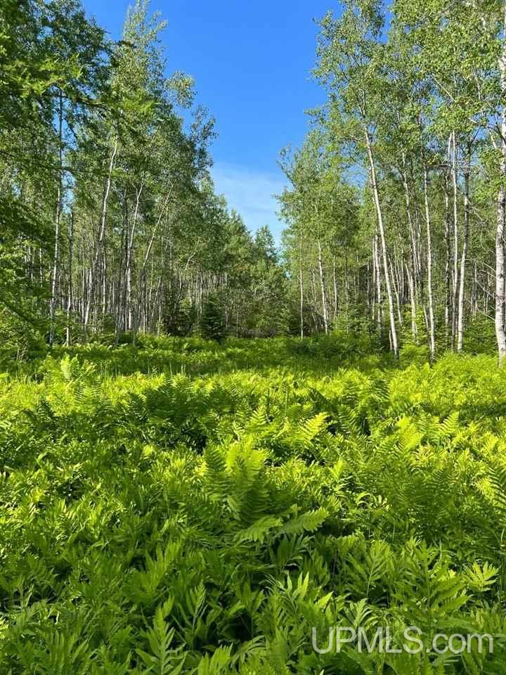 13281 Church P.1 Road Rapid River, MI 49878 - Photo 6 of 23
