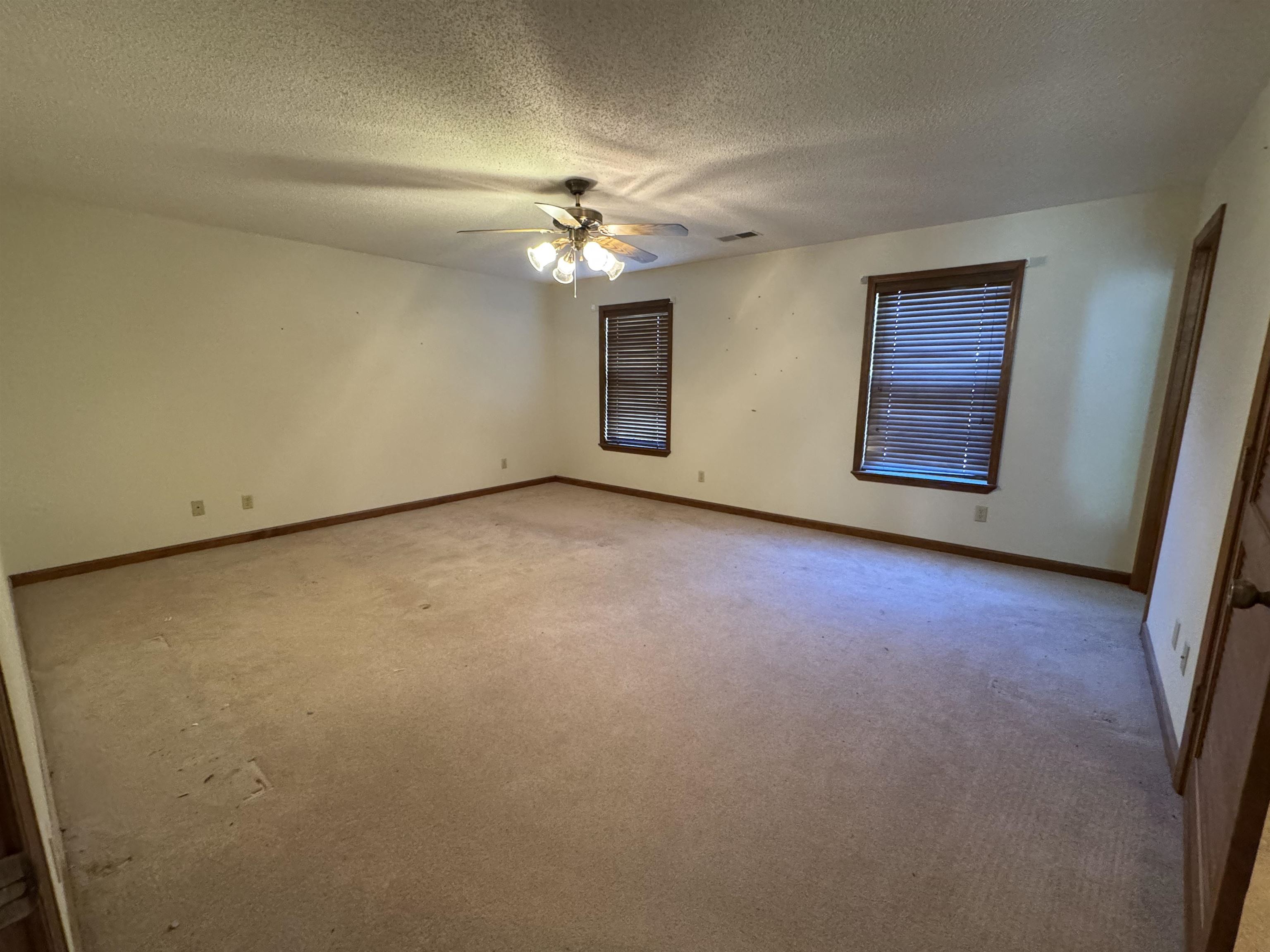3360 Ebenezer Road Toone, TN 38381 - Photo 20 of 40 an empty room with a chandelier fan and windows