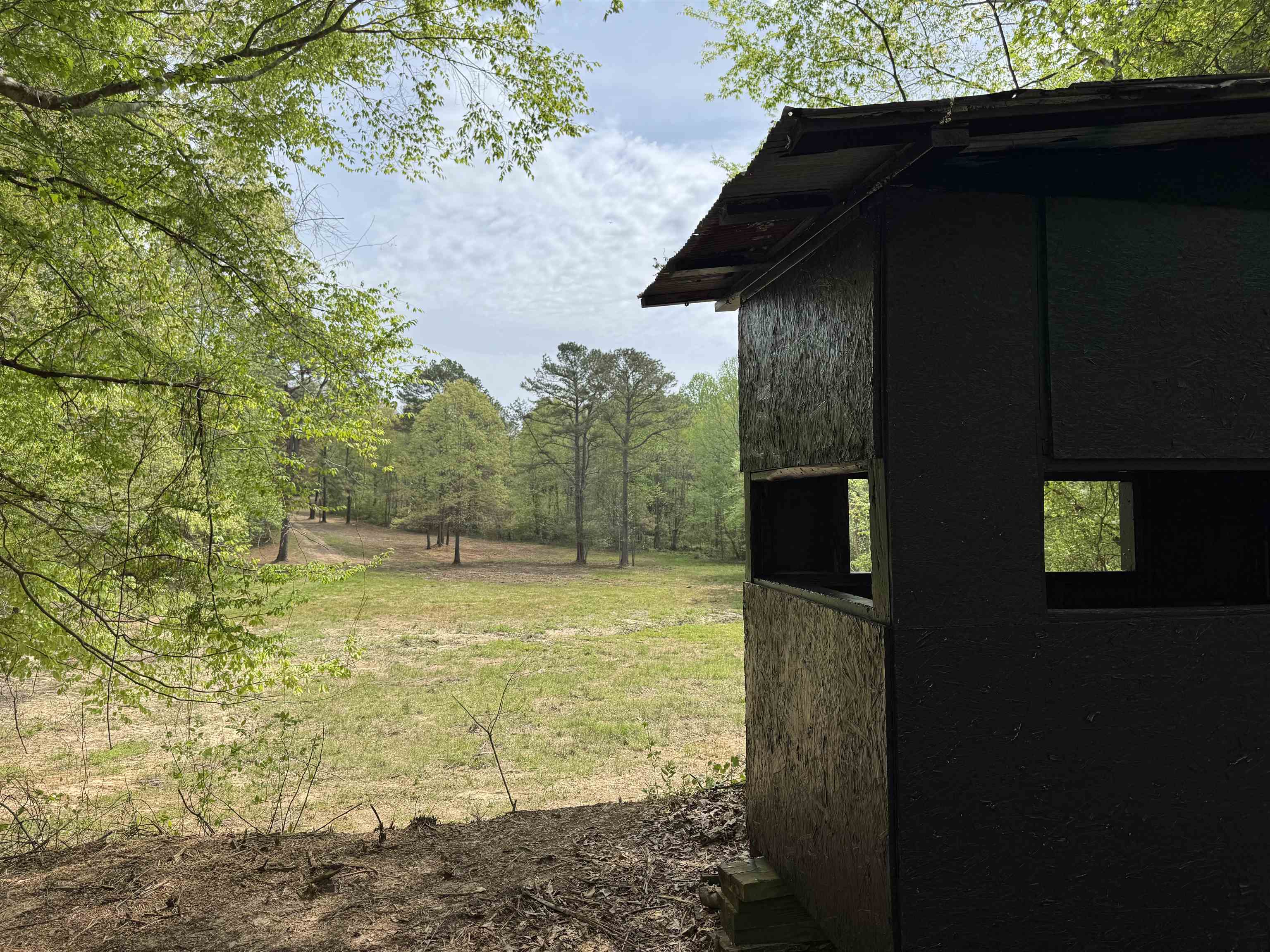 3360 Ebenezer Road Toone, TN 38381 - Photo 40 of 40 a backyard of a house with lots of green space