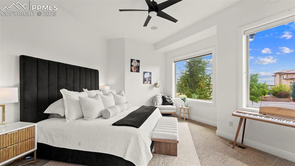 13625 Random Ridge View Colorado Springs, CO 80921 - Photo 18 of 50 Bedroom featuring light carpet and ceiling fan
