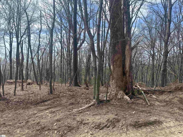 $250,000 | 0 Flintrock Knob Lane, Landrum, SC 29356