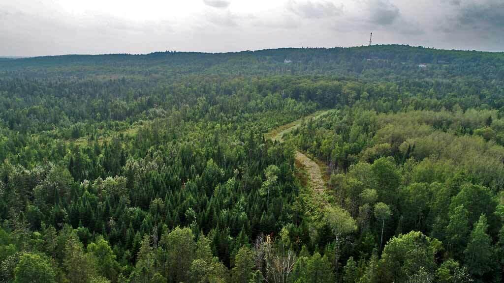 Lot 121 East Road New Sweden, ME 04762 - Photo 8 of 29 aroostook-county-land-aeria