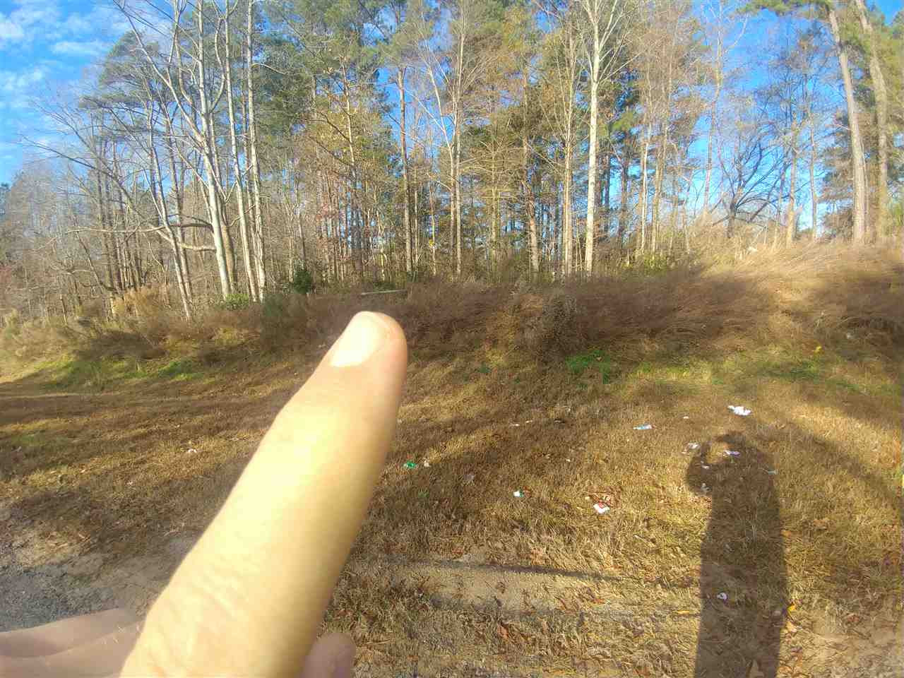 Parham Road Henderson, NC 27536 - Photo 2 of 4 Photo 2