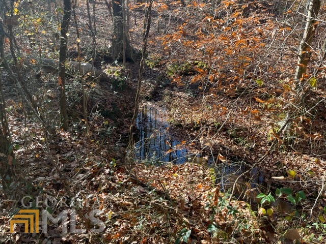 0 Attaway Road Southwest, Unit 8 5 ACRES) Bowdon, GA 30170 - Photo 1 of 1 Gallery Image 1