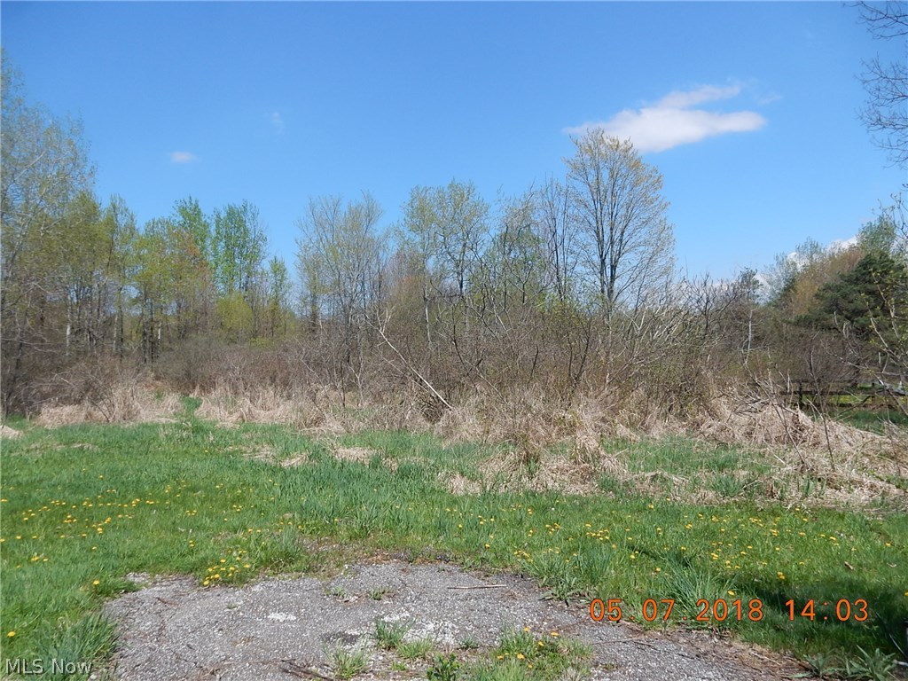 6397 Leon Road Andover, OH 44003 - Photo 7 of 16 Gallery Image 7