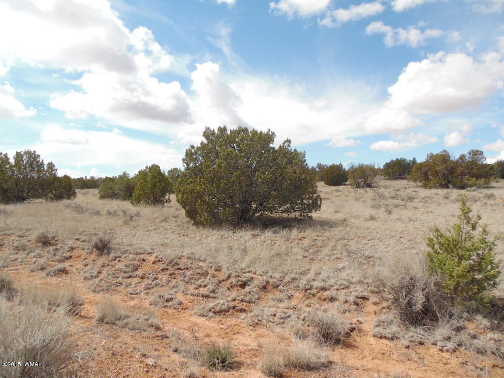 3908 Freeman Holw Road Snowflake, AZ 85937 - Photo 2 of 9