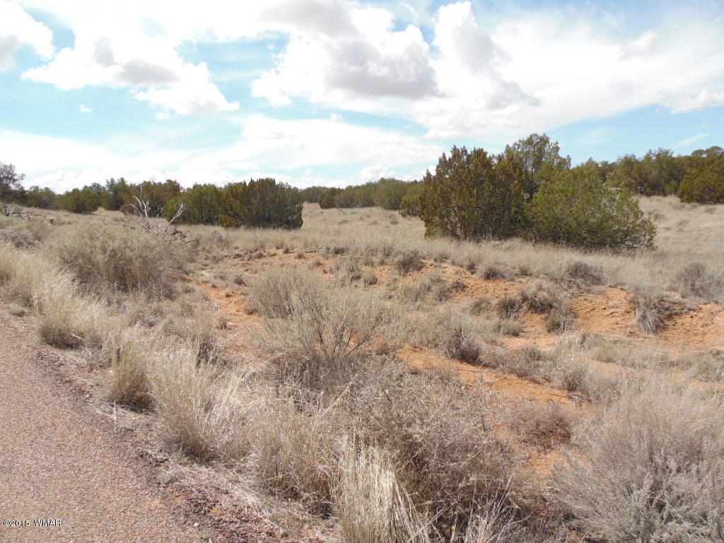 3908 Freeman Holw Road Snowflake, AZ 85937 - Photo 3 of 9