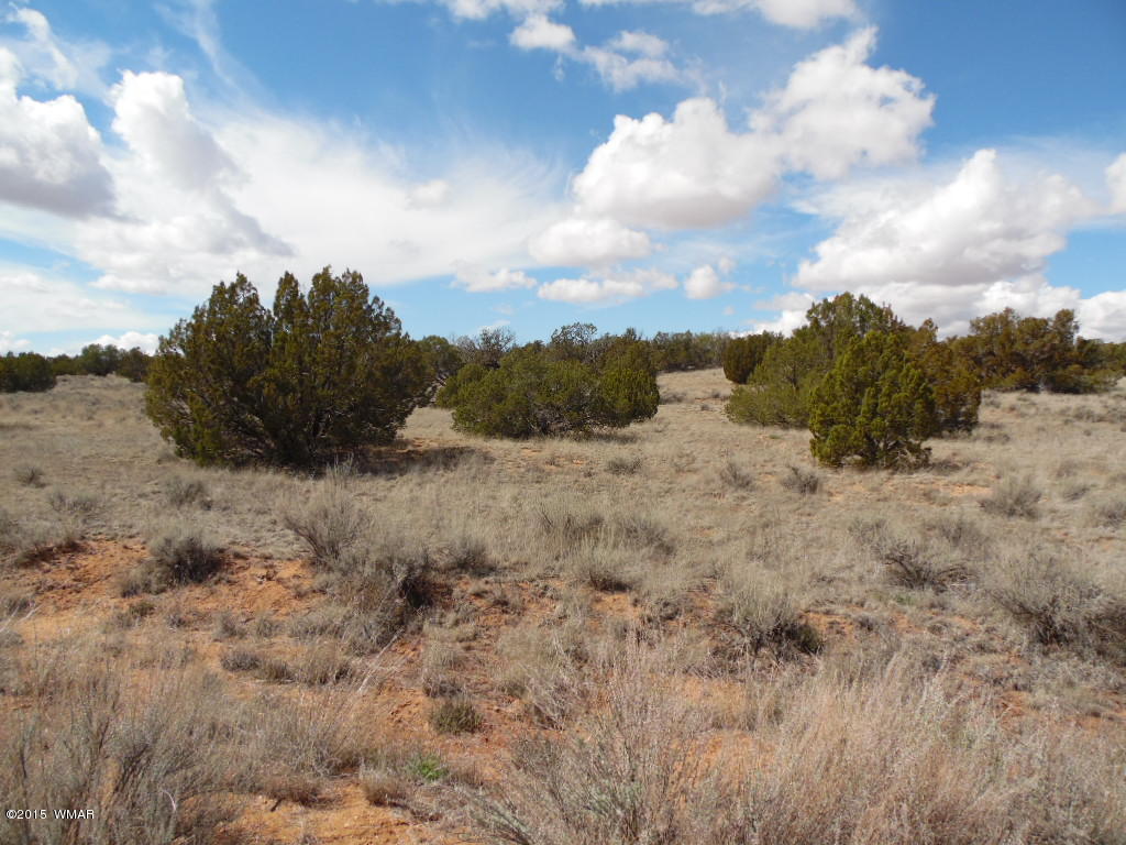 3908 Freeman Holw Road Snowflake, AZ 85937 - Photo 4 of 9