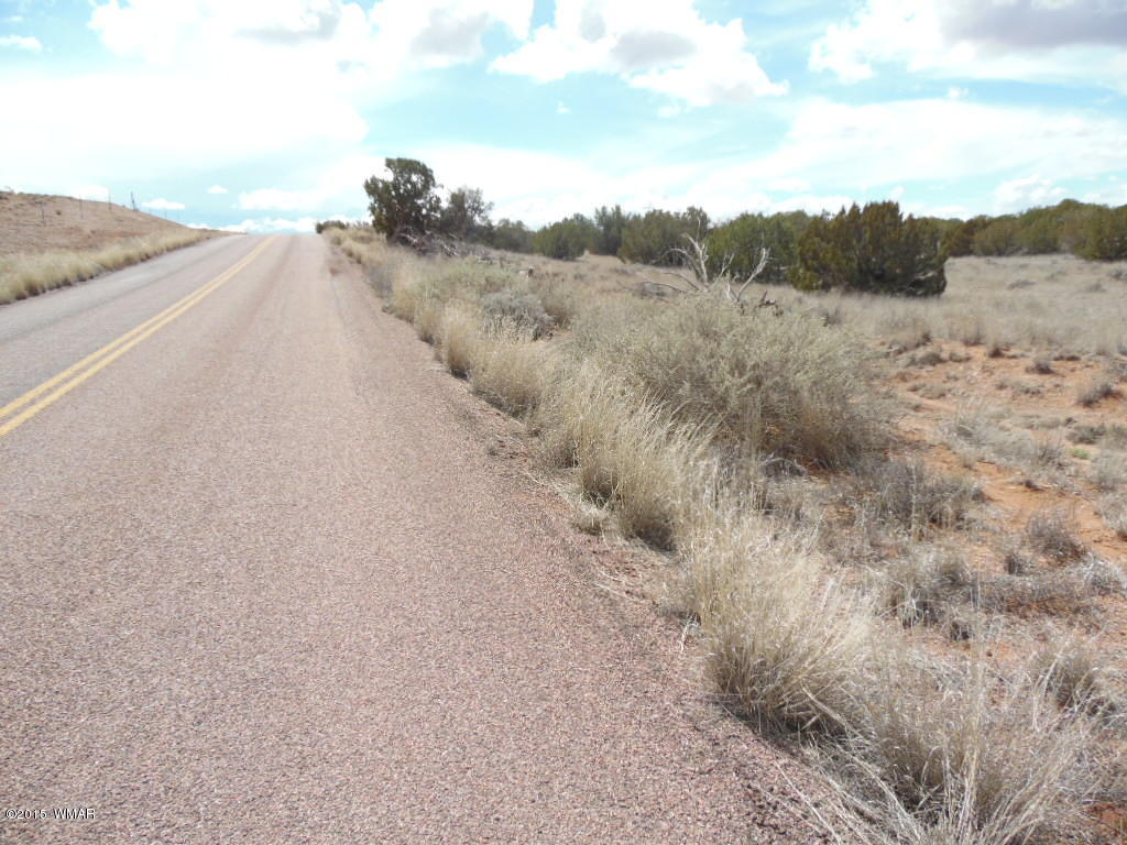 3908 Freeman Holw Road Snowflake, AZ 85937 - Photo 5 of 9