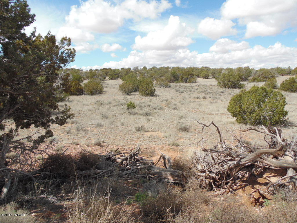 3908 Freeman Holw Road Snowflake, AZ 85937 - Photo 6 of 9
