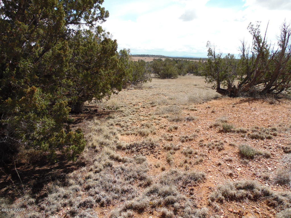 3908 Freeman Holw Road Snowflake, AZ 85937 - Photo 7 of 9