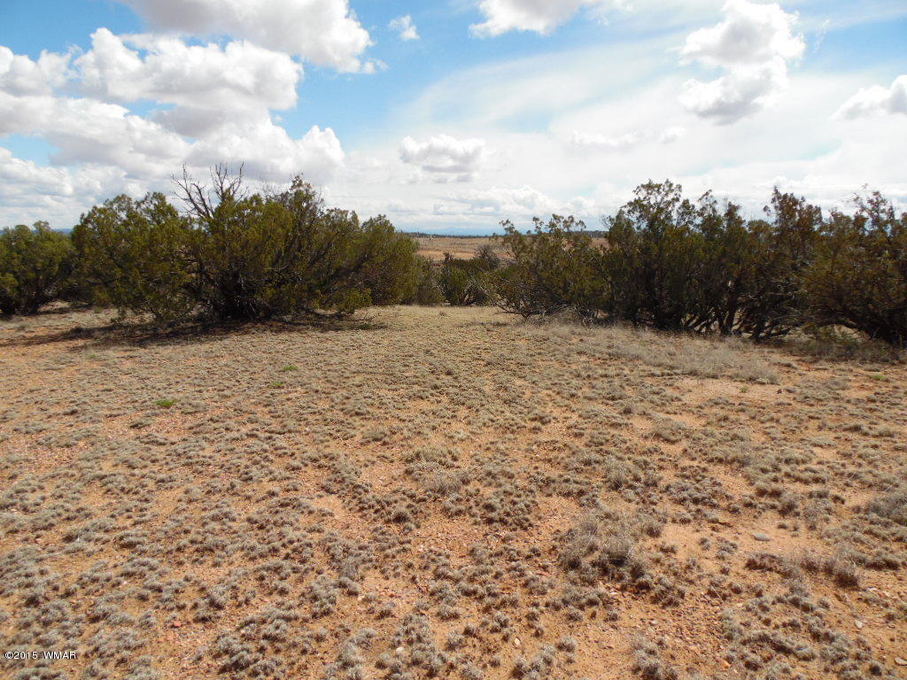 3908 Freeman Holw Road Snowflake, AZ 85937 - Photo 8 of 9