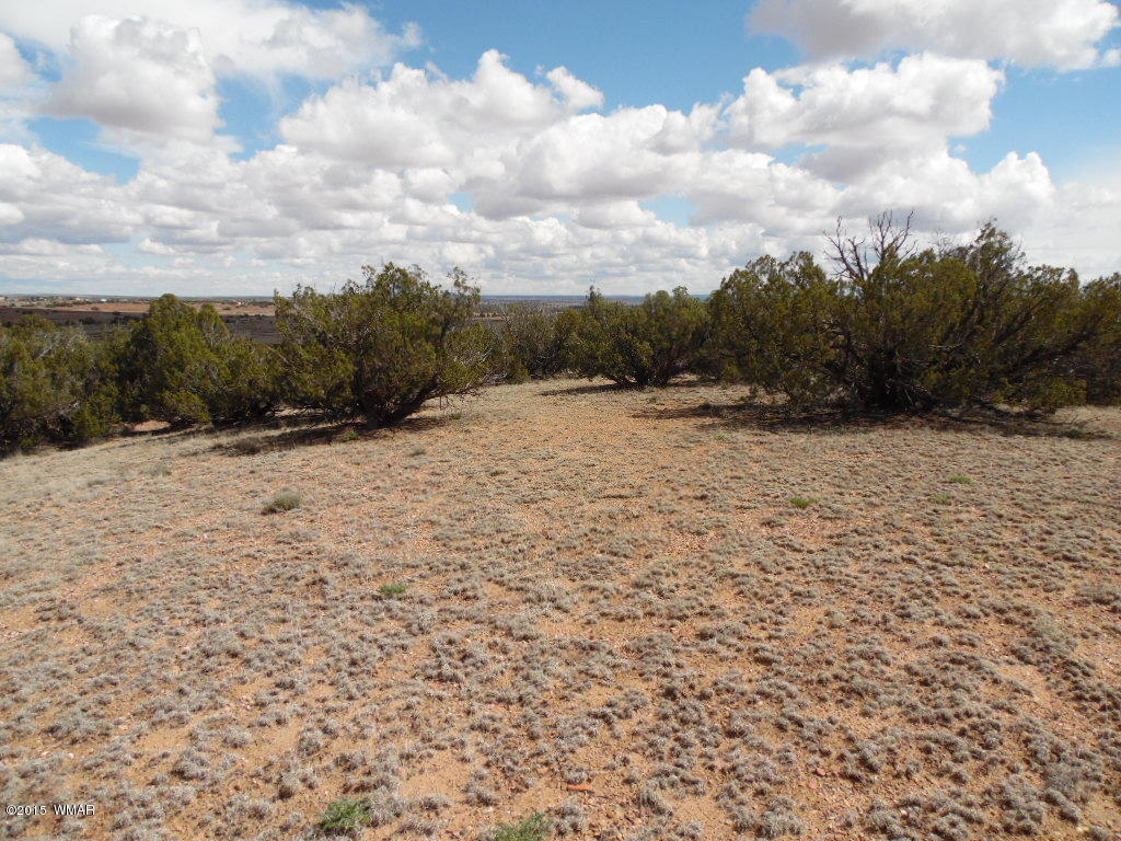 3908 Freeman Holw Road Snowflake, AZ 85937 - Photo 9 of 9