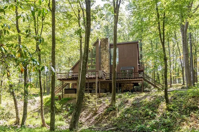 a view of a garden with large trees