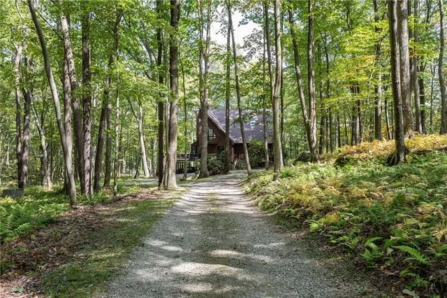 a view of a house with large trees and plants