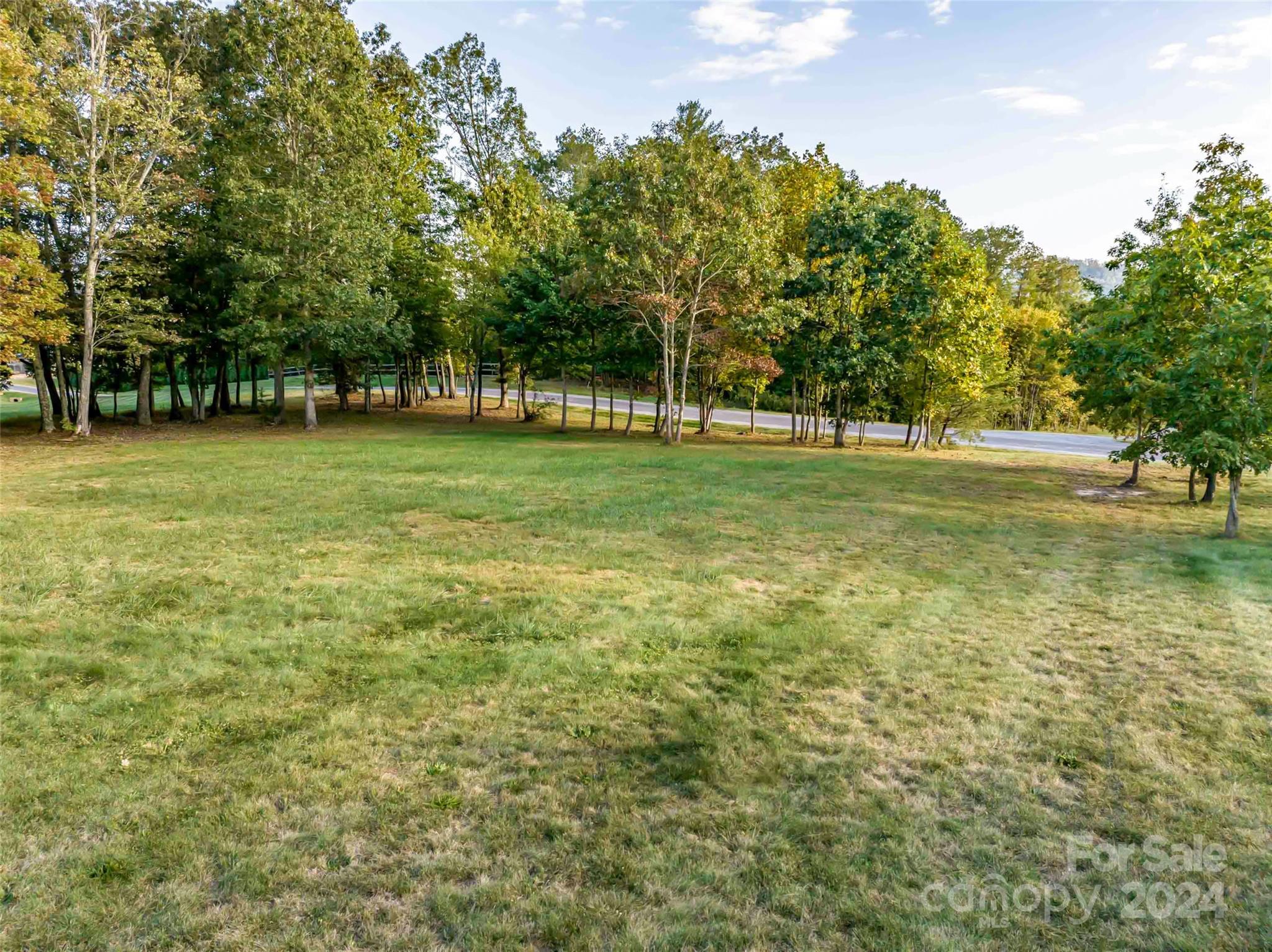 365 Chukar Way, Unit LOT 22 Fletcher, NC 28732 - Photo 3 of 12 a view of a park with trees in the background