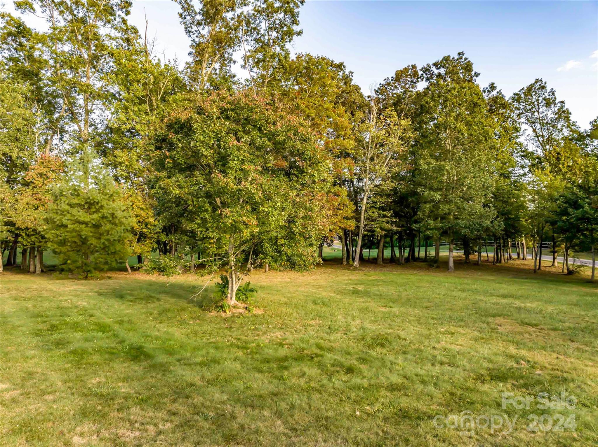 365 Chukar Way, Unit LOT 22 Fletcher, NC 28732 - Photo 4 of 12 a backyard of a house with lots of trees