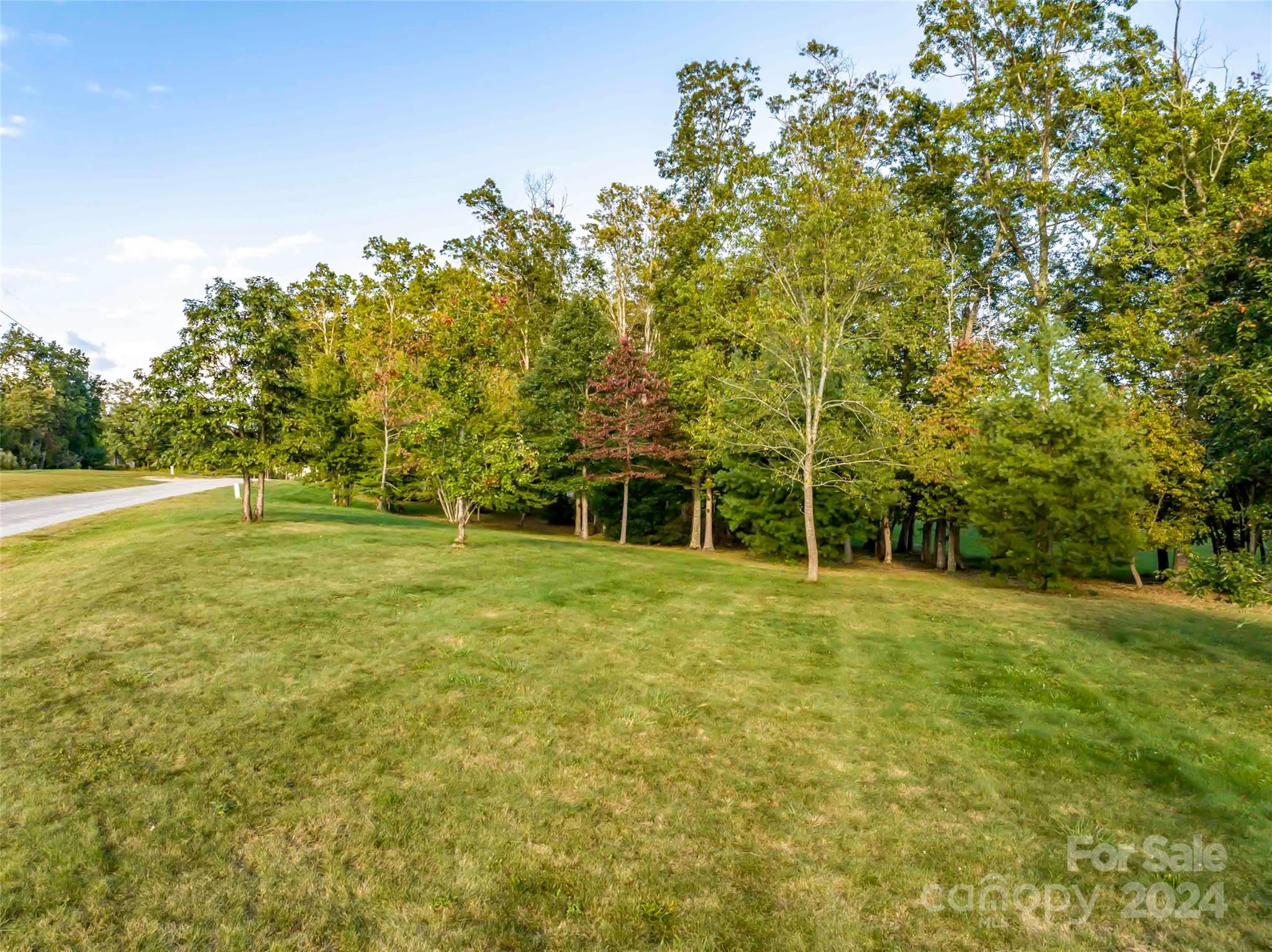 365 Chukar Way, Unit LOT 22 Fletcher, NC 28732 - Photo 5 of 12 a view of a trees with a big yard