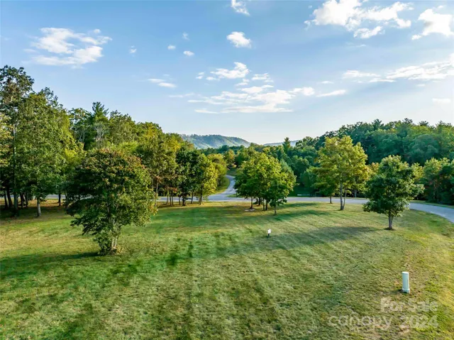 a big yard with lots of green space and plants
