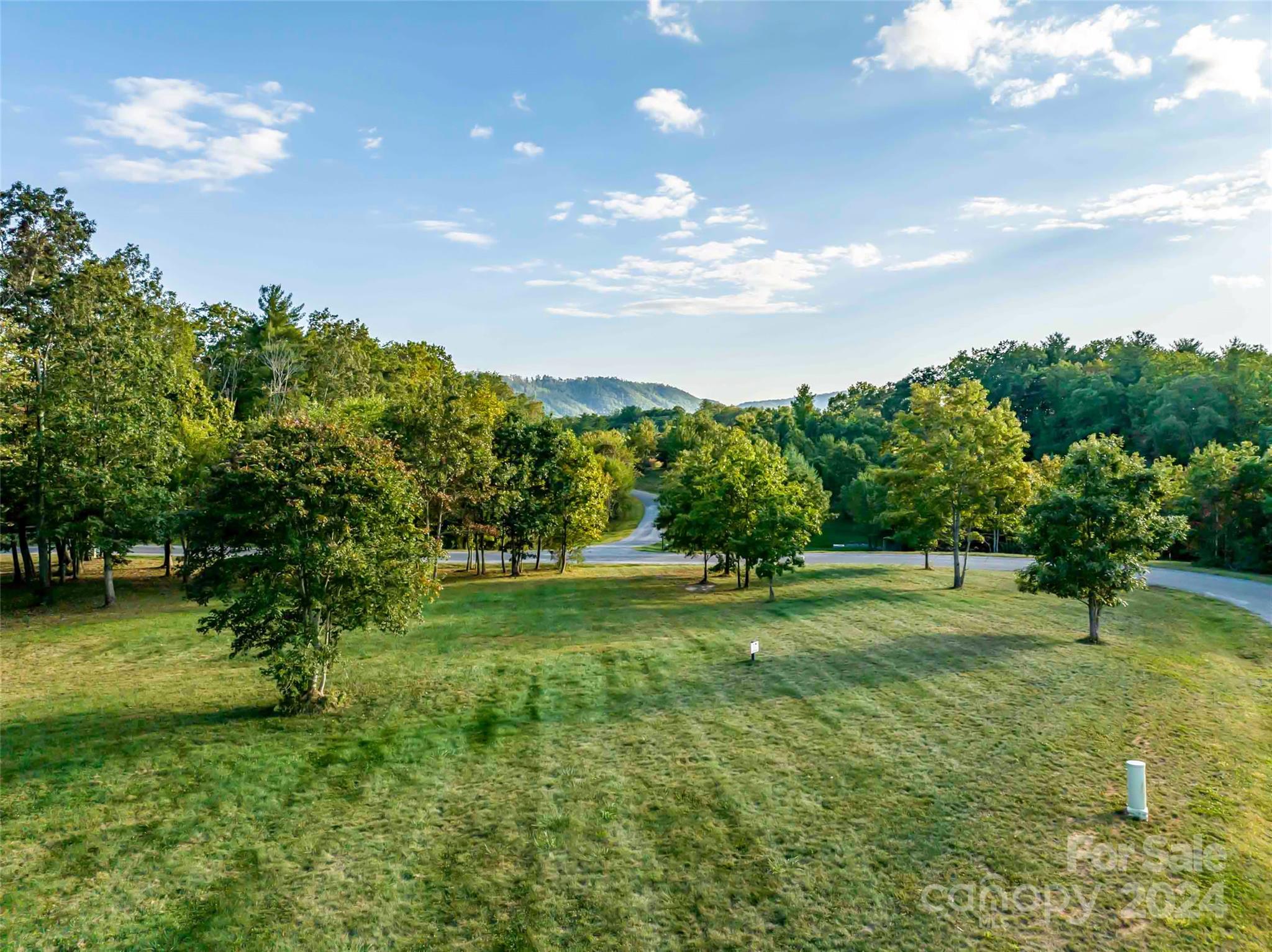 365 Chukar Way, Unit LOT 22 Fletcher, NC 28732 - Photo 7 of 12 a big yard with lots of green space and plants