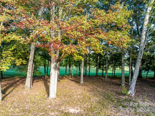 a view of a backyard with tree s