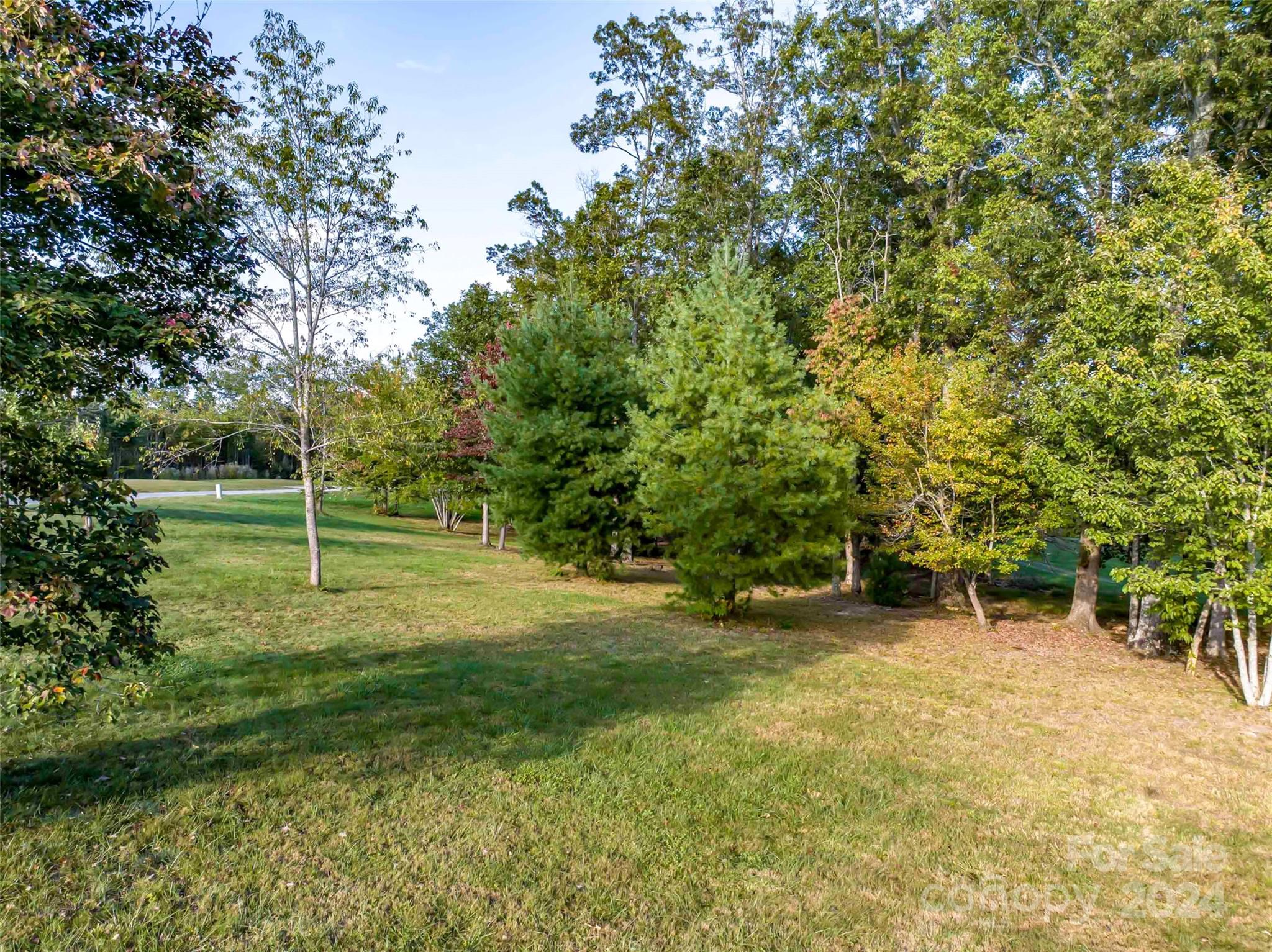 365 Chukar Way, Unit LOT 22 Fletcher, NC 28732 - Photo 9 of 12 a view of a tree in a yard