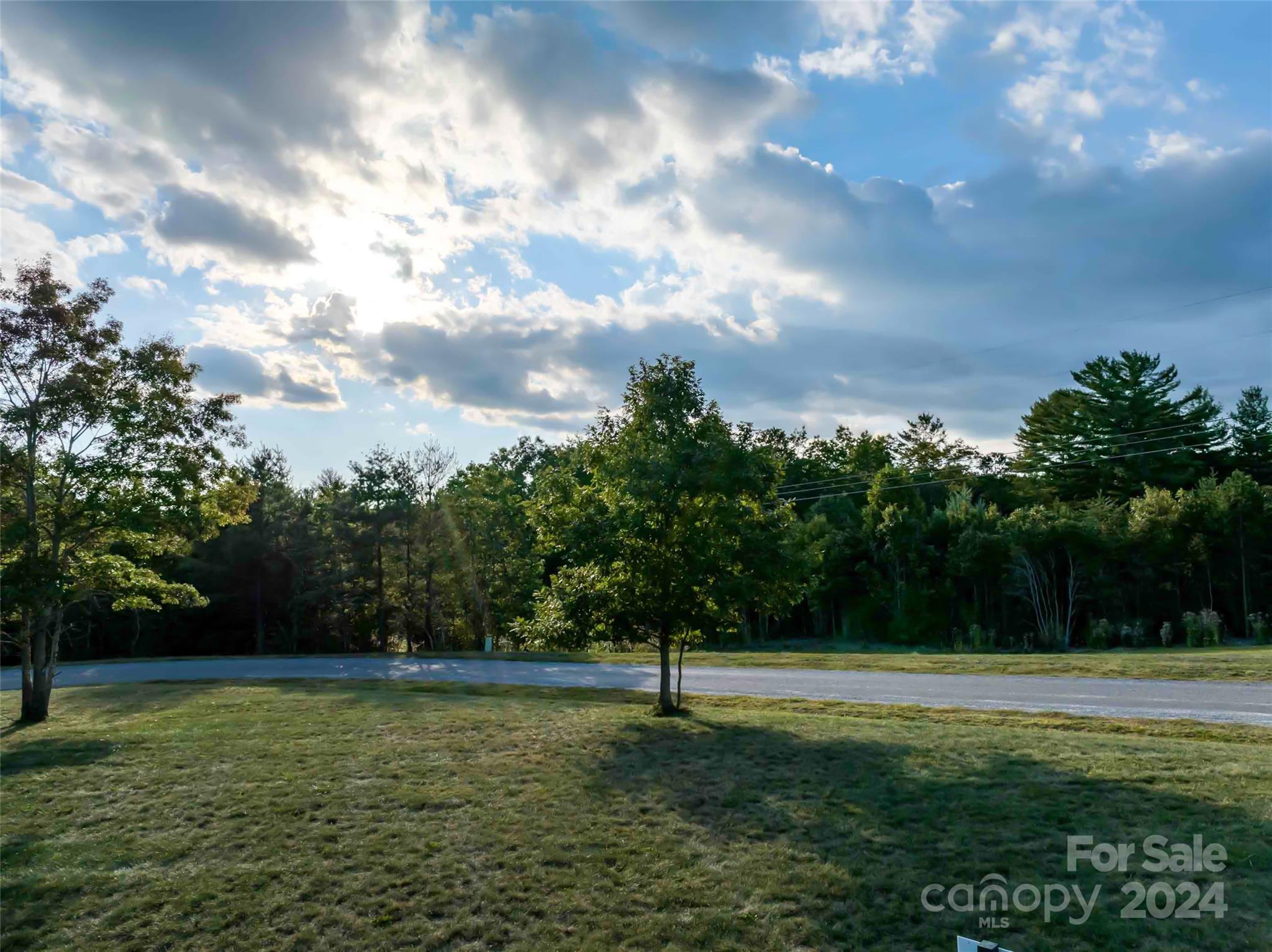 365 Chukar Way, Unit LOT 22 Fletcher, NC 28732 - Photo 10 of 12 a view of a park