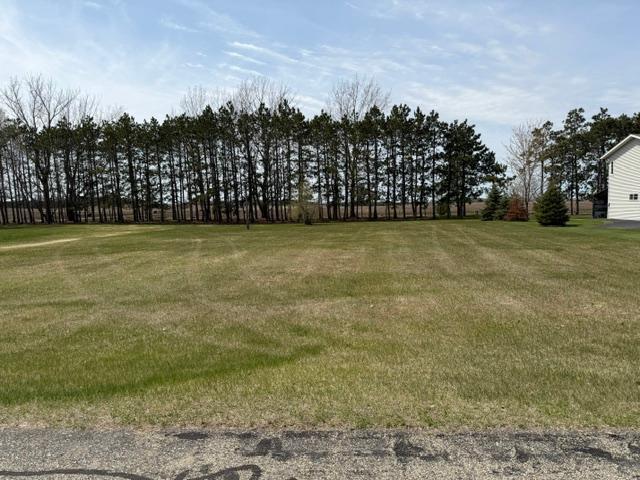 Tbd 439th Avenue Perham, MN 56573 - Photo 1 of 5