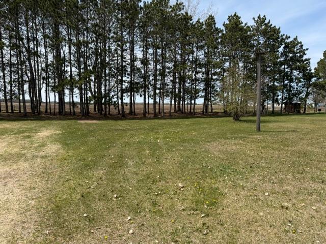 Tbd 439th Avenue Perham, MN 56573 - Photo 3 of 5