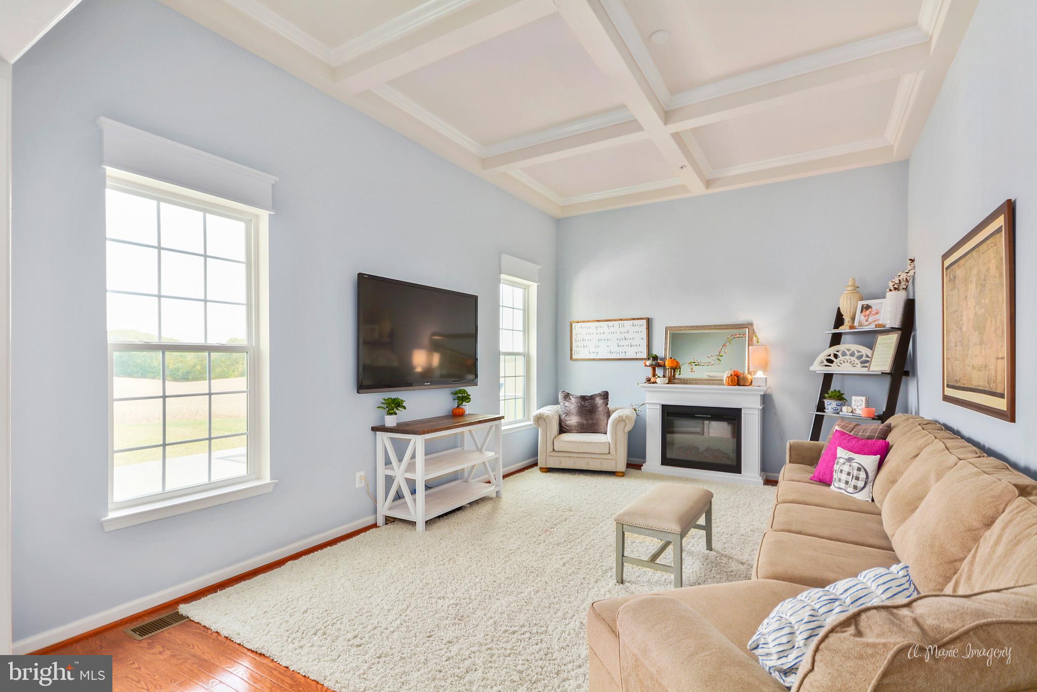 9162 Bealls Farm Road Frederick, MD 21704 - Photo 23 of 68 Family Room custom coffered Ceiling is cozy & chic